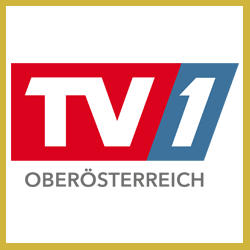 Sponsor - Rahmen - Gold - TV1