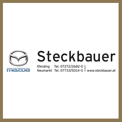 Sponsor - Rahmen - Bronze - Steckbauer